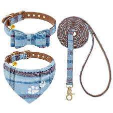The Ultimate Guide to Choosing the Perfect Leash and Collar Set