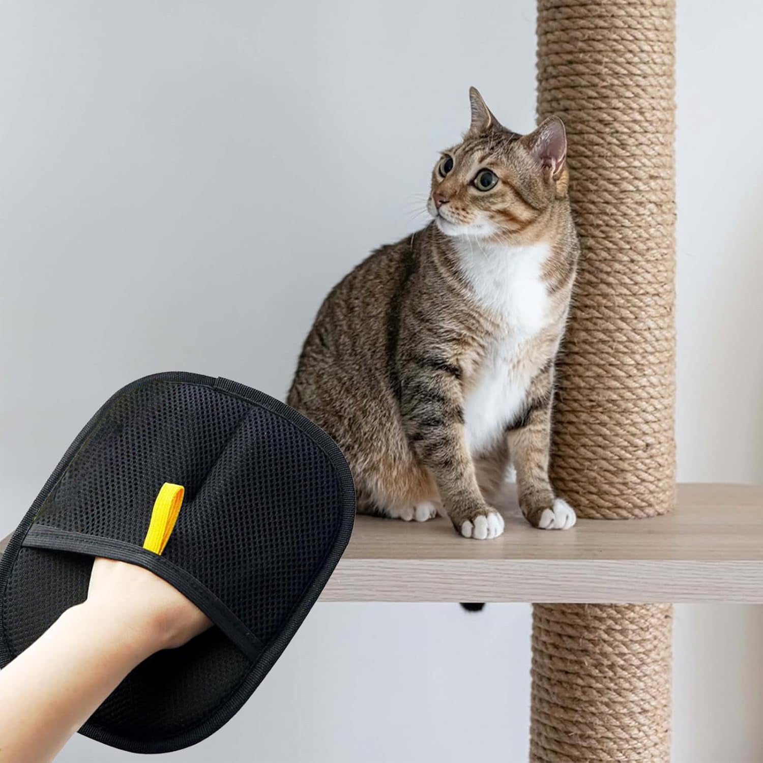 Pet Electrostatic Hair Removal Gloves Two-way Bristle Remover Hair Removal Brush Sticky Hair Artifact Cat Hair Gloves Cat Hair Removal CombPet Electrostatic Hair Removal Gloves Two-way Bristle Remover Hair Removal Brush Sticky Hair Artifact Cat Hair Gloves Cat Hair Removal Comb