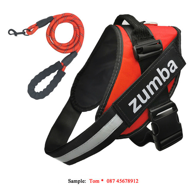  Adjustable Dog Harness and Leash Set
